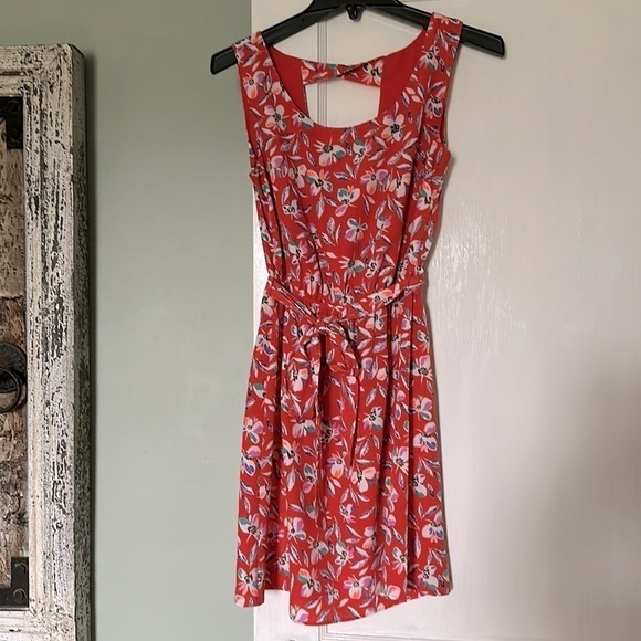 Gap Floral Print Cinch Waist Dress - Blaze - Picture 2 of 15